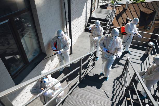 Best Attic Mold Removal  in Beresford, SD