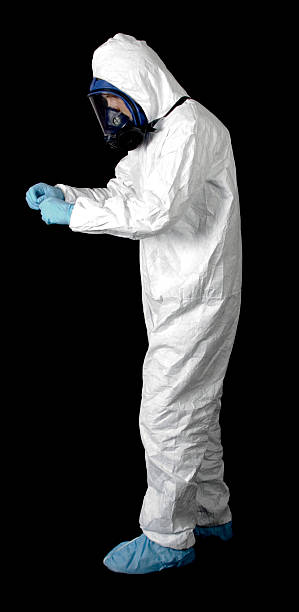 Best Black Mold Removal  in Beresford, SD