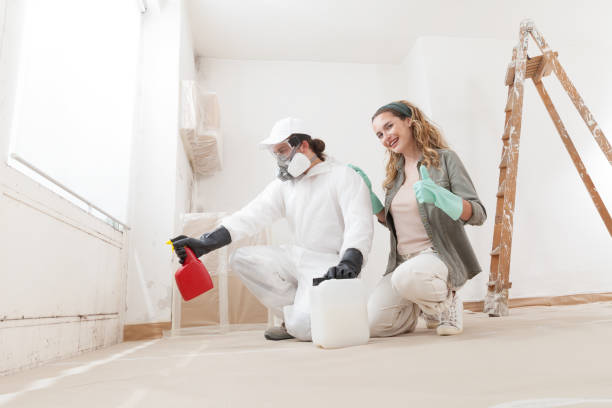  Beresford, SD Mold Removal Pros